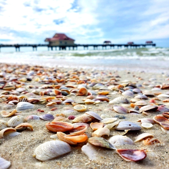 Meet your Posher, Tanya - Picture 1 of 1